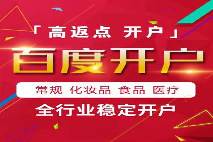 电商行业SEM运营的挑战与成功案例